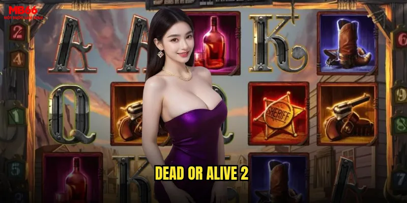 Dead or Alive 2