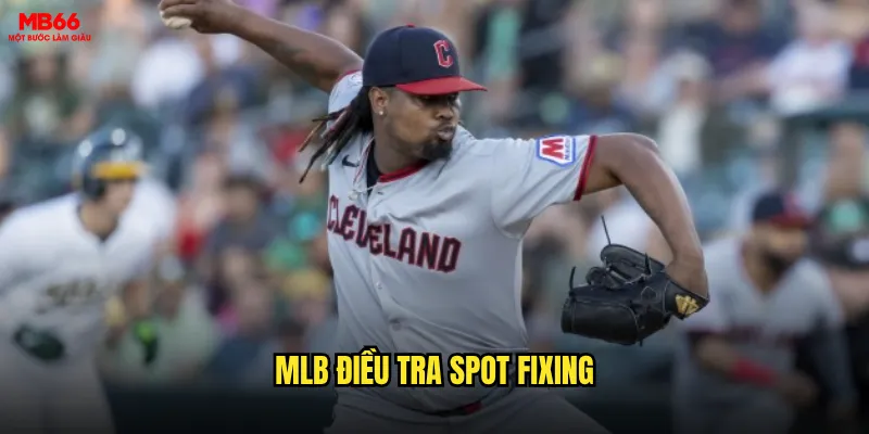 MLB điều tra spot fixing