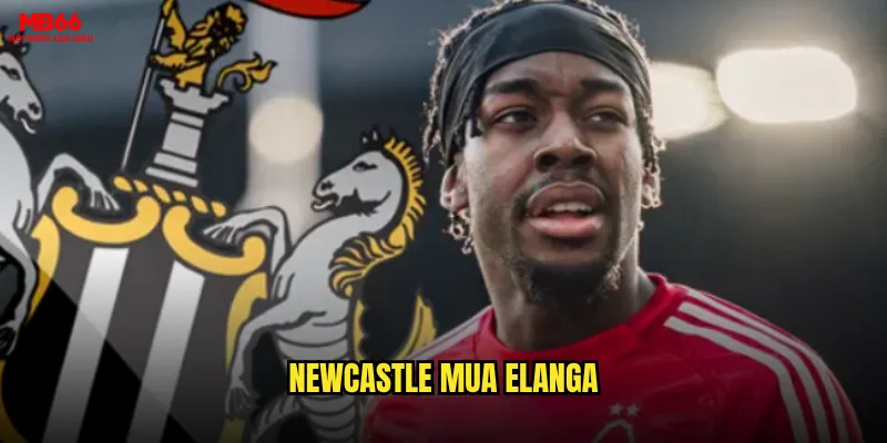Newcastle mua Elanga