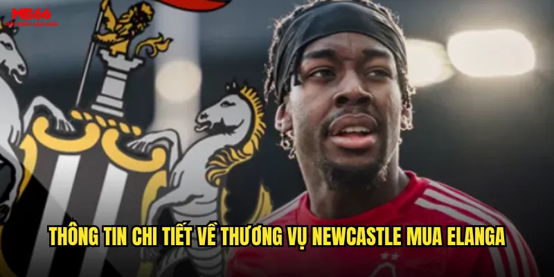 Newcastle mua Elanga có tạo ra cơ hội cá cược vàng tại MB66 không? 2 Thông tin chi tiết về thương vụ Newcastle mua Elanga